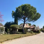 Les Bougainvillees De Camargue *