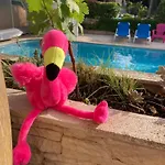Dom wakacyjny Les Bougainvillees De Camargue Villetelle