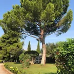 Les Bougainvillees De Camargue 別荘