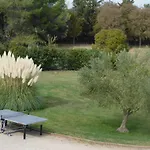 Les Bougainvillees De Camargue *