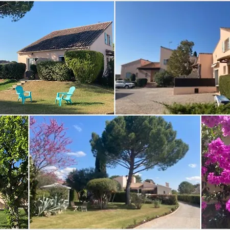 Les Bougainvillees De Camargue *