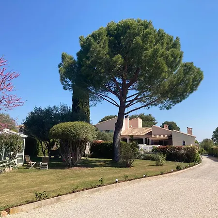 Les Bougainvillees De Camargue *