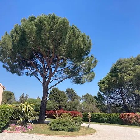 Ferienhaus Les Bougainvillees De Camargue Villetelle