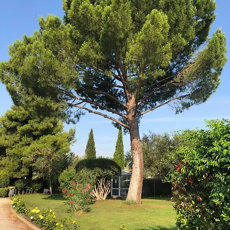 Les Bougainvillees De Camargue Ferienhaus