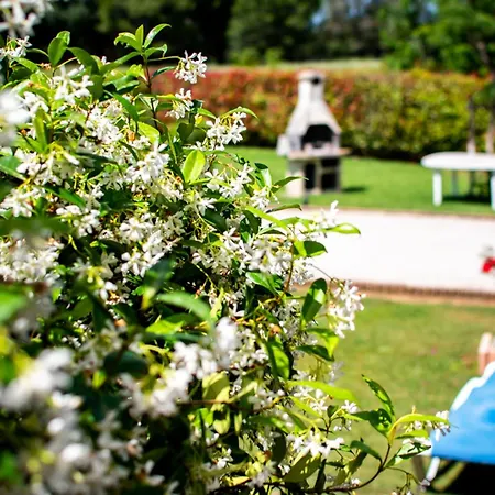 Holiday home Les Bougainvillees De Camargue Villetelle