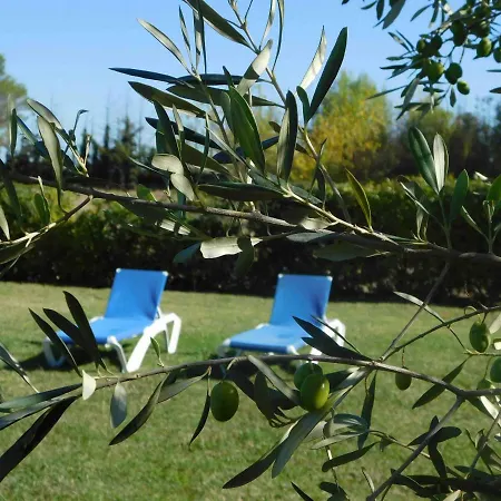 Les Bougainvillees De Camargue *