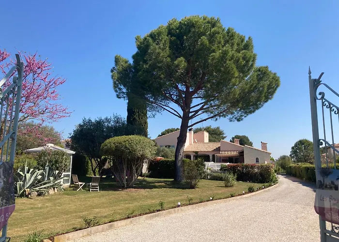 Les Bougainvillées De Camargue *