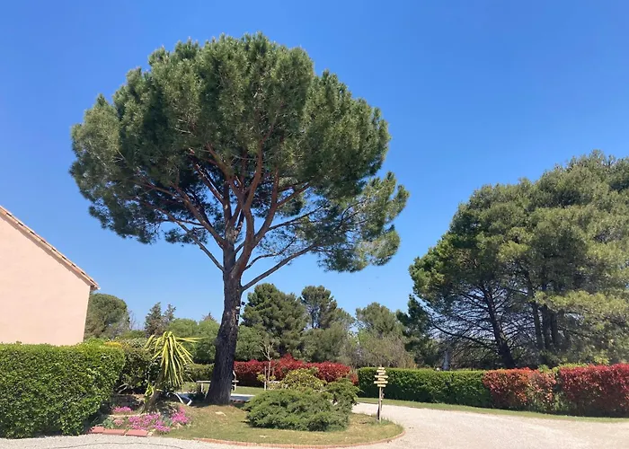 Σπίτι διακοπών Les Bougainvillees De Camargue Villetelle
