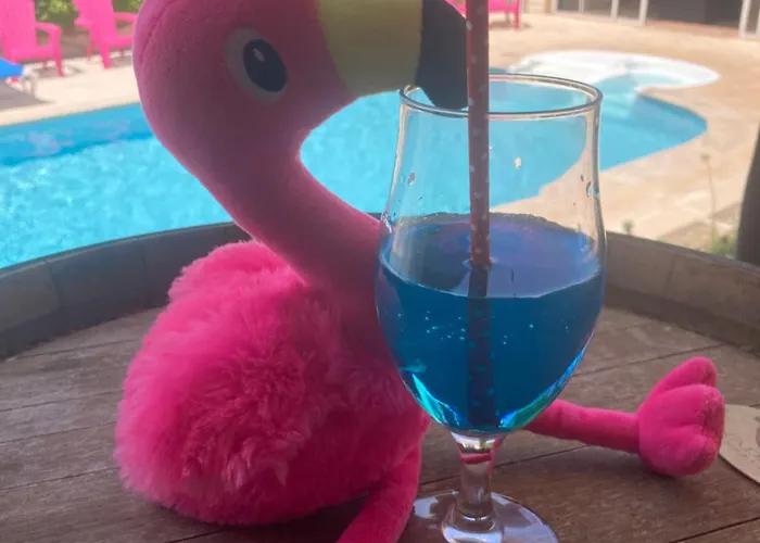 Les Bougainvillées De Camargue Casa vacanze *