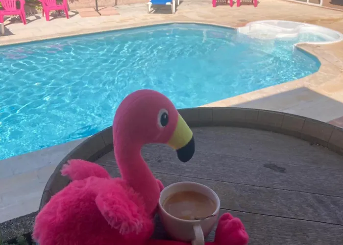 Les Bougainvillées De Camargue Villetelle