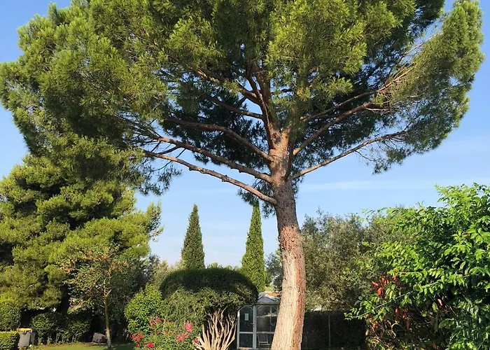 Les Bougainvillées De Camargue Casa vacanze