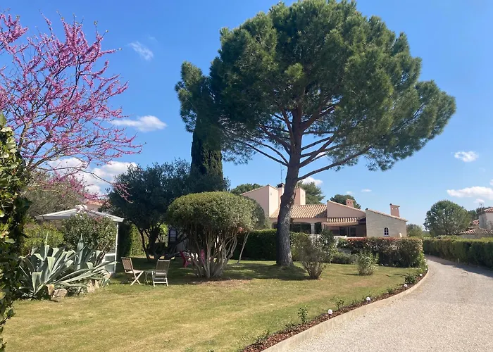 Les Bougainvillees De Camargue Σπίτι διακοπών Villetelle