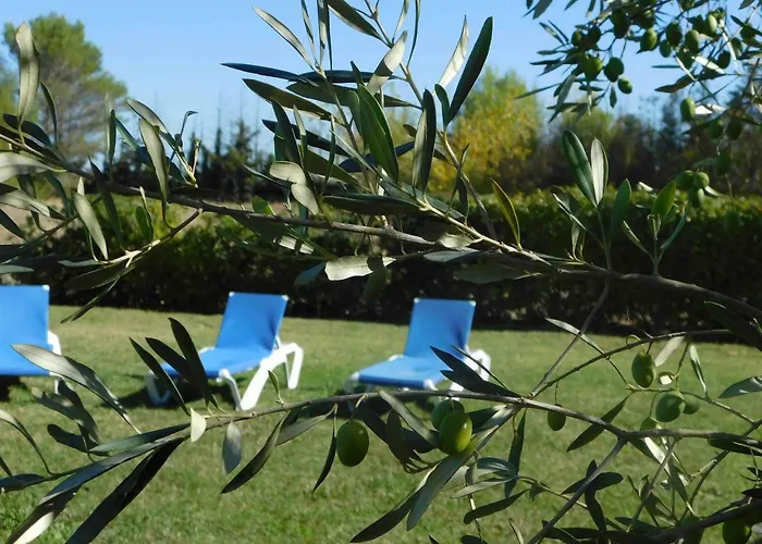Les Bougainvillees De Camargue *