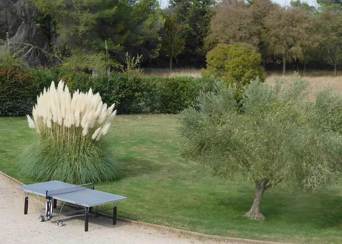 Les Bougainvillées De Camargue *